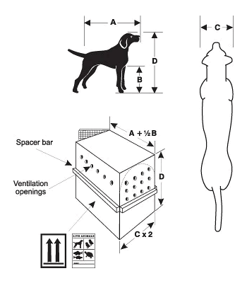 pet-measurements.png